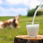Zsiadłe mleko jak u mamy